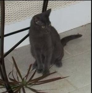 Meet your Posher, Linda